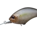 Tasty Shad P23