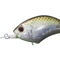DM Brown Chart Belly DM27