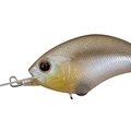 Numeri Shad P47