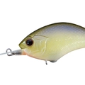 Chart Wakasagi P91