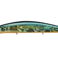 American Sunfish H03
