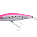 Pink Back Iwashi