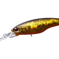 Black Gold Orange Belly H04