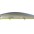 GS Jade Shad Chart Belly GG64
