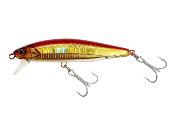 Jackall Bigbacker Anchopeed