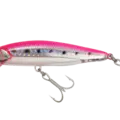 Pink Back Iwashi
