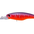 Sunset Tiger PP50