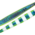 51 Blue Yellow Zebra