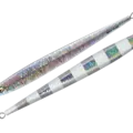 11 Abalone Zebra
