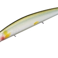Impact Ayu RB39