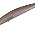 Tasty Shad S23