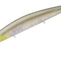 Numeri Shad P47
