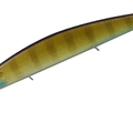 Bluegill P95