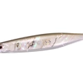 Abalone Wakasagi ABL76