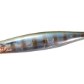 Tsuresu Gill BH45