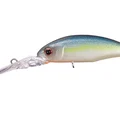 Sexy Shad Ver.2 PB21