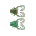 Giragira Suika
