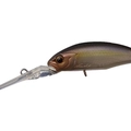 Tasty Shad P23