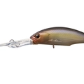 Tasty Shad P23