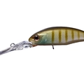 Sunny Gill P45