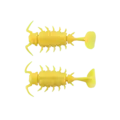 Shakkiri Corn