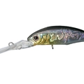 Crystal Blue Shiner H09