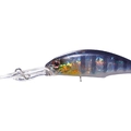Ice Gill H16