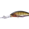 Dazzler Baby Gill L16