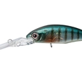 Buruburu Gill H45