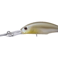 Numeri Shad P47