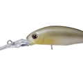 Numeri Shad P47