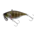 Chibi Chinu