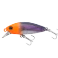 Orange / Sardine