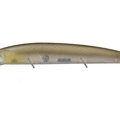Numeri Shad P47