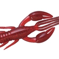 Bottom Fish Red W018