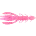 Pink Shrimp