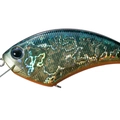 American Sunfish H03