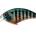 Buruburu Gill H45