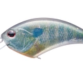Real Gill RP45
