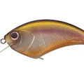 Deadly Shiner ME71