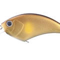 Golden Ayu ME01
