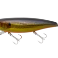 Kin Kono