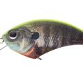 Matte Chart Back Real Gill RP07