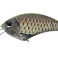 Matte Chart Back Real Funa RP17