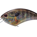 Real Gill Ver.2 RP16