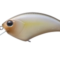 Tasty Shad P23