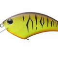 Chart Brown Tiger P27