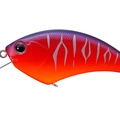 Sunset Tiger PP50