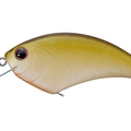 Olive Dazzler L55