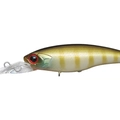 Sunny Gill P45